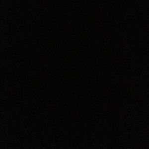 Meet your Posher, Kyra